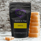 Scent n Vac - Clean & Fresh Collection - KJ's Sizzling Scentz