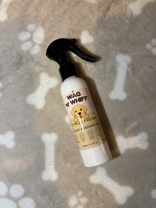 Dog Coat & Bedding Mist | Long Lasting Pet Freshener | Wag n Wiff - KJ's Sizzling Scentz