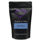 Scent n Vac - Perfume & Aftershave Collection - KJ's Sizzling Scentz