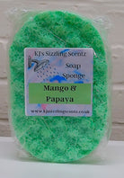 Soap Sponge Collection - KJ's Sizzling Scentz