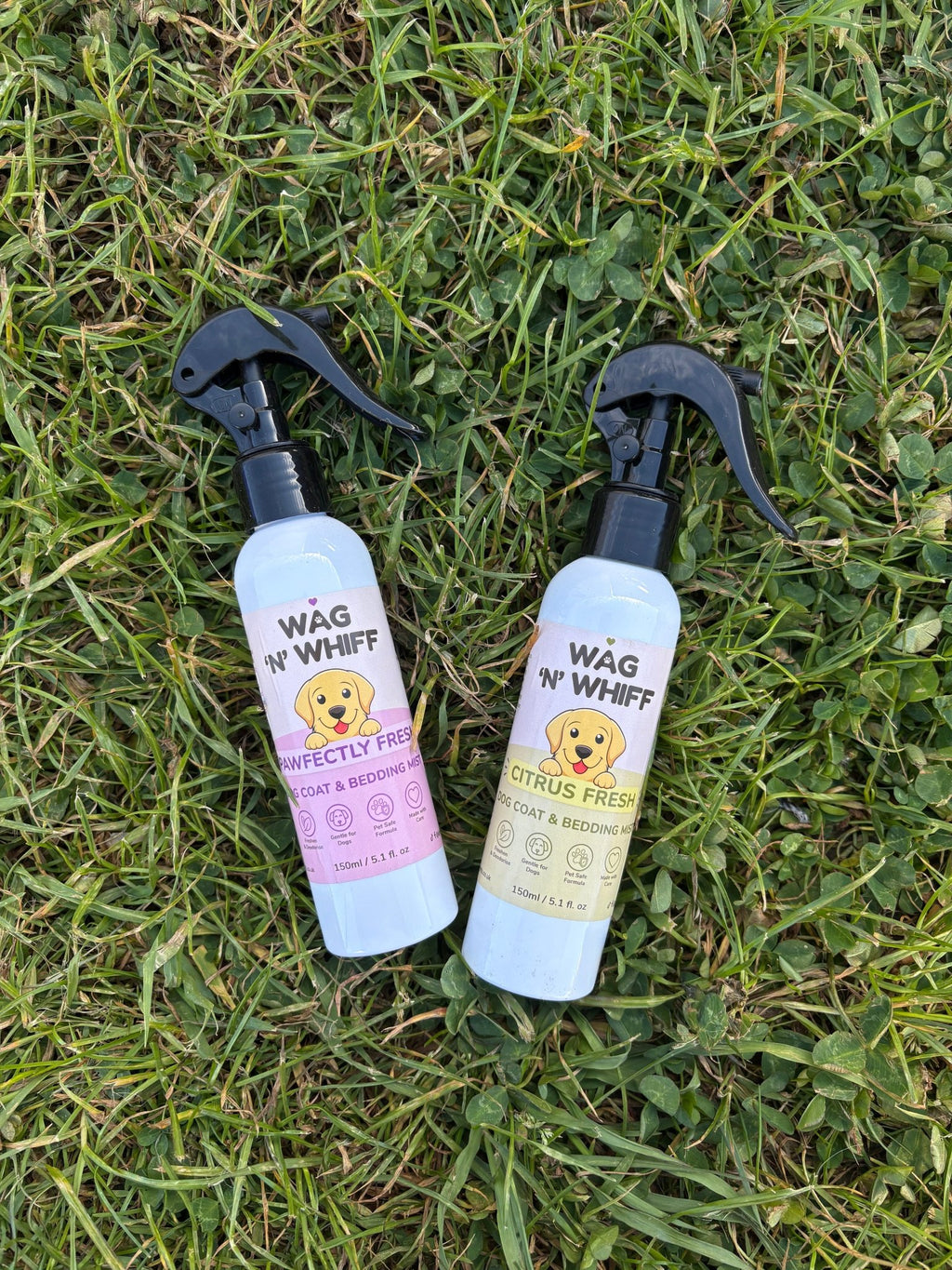 Dog Coat & Bedding Mist | Long Lasting Pet Freshener | Wag n Wiff - KJ's Sizzling Scentz